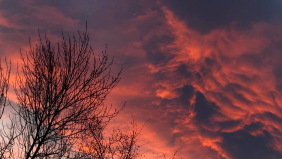 Появились кадры кровавого заката в Самаре 15 ноября