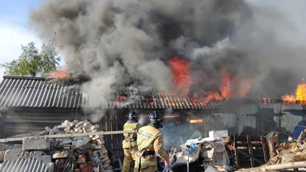 В самарском селе 4 часа тушили крестьянское подворье