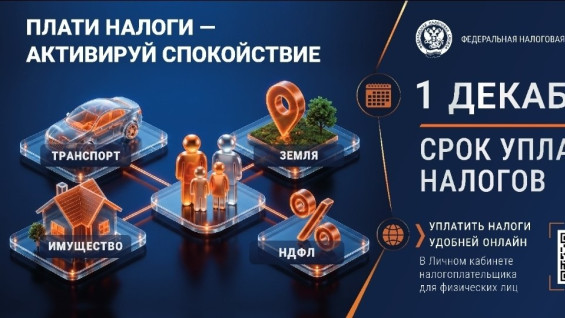 Жителям Самарской области напомнили про наступление сроков уплаты налогов