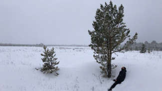 Снежный шторм обрушится на Самару