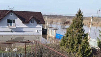 Под Самарой паводок дошел до жилых домов