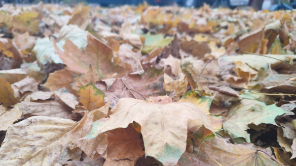 Дожди и -1°C: прогноз погоды на выходные в Самаре