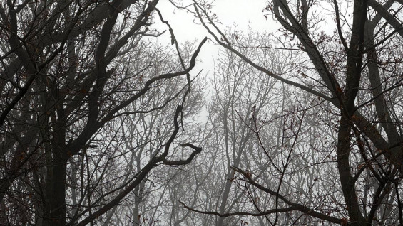 В Самарском регионе 13 декабря объявлен режим опасности атаки БПЛА