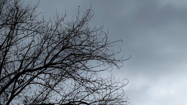 Два украинских беспилотника сбили над Самарской областью 15 января