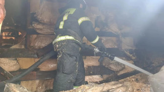 Спасатели вытащили человека из горящего дома под Самарой 