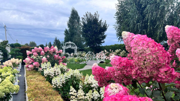 Самарский садовый центр осваивает зарубежные рынки