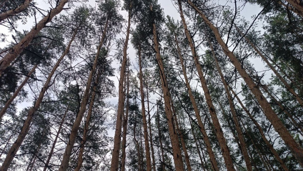 Приметы 9 августа: что делать в день Пантелеймона Целителя чтобы привлечь богатство 