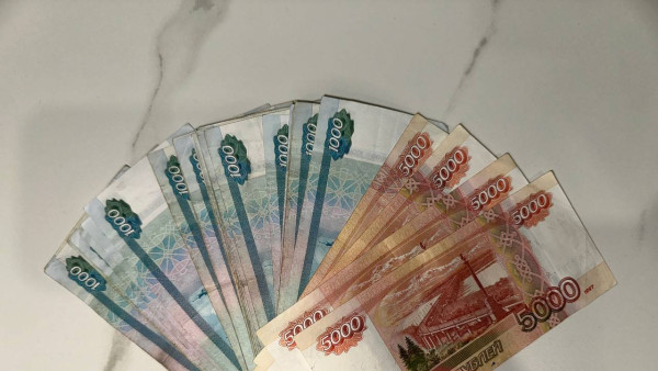 В Самаре выявлены нарушения в социальных выплатах департамента опеки