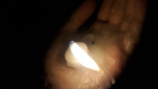 Нумерологи рассказали чего ждать в последний понедельник 28 октября