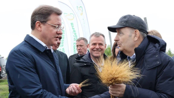 Селекционеры Самарской области создали новый сорт твердой пшеницы