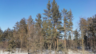 В Самарской области появилось сразу 20 запретных зон