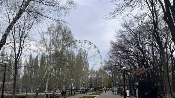 В Самаре предложили вернуть авиатехнику в Парк Гагарина 