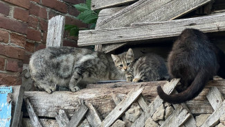 В Самаре по требованию прокуратуры снесут аварийный дом