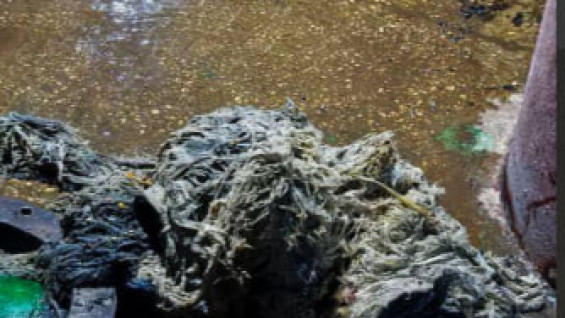 Из самарской канализации достали очередного мусорного "монстра"