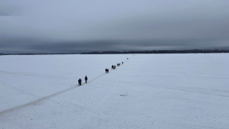 Лед на Волге у Самары стал тоньше на 10 сантиметров за неделю оттепели