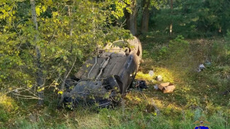 В Самарской области Lada Granta вылетела в кювет и перевернулась