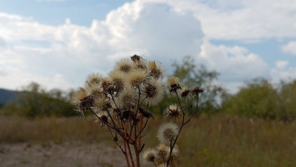 Народные приметы: 26 сентября. Не делайте этого в Корнилов день, чтобы не сгинуть