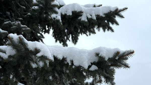 В 7 районах Самарской области ухудшается погода