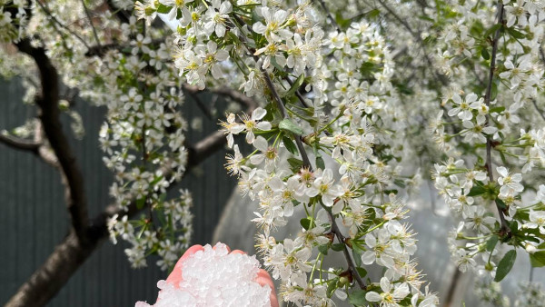 Синоптики рассказали, когда в Самарскую область придет первый снег 