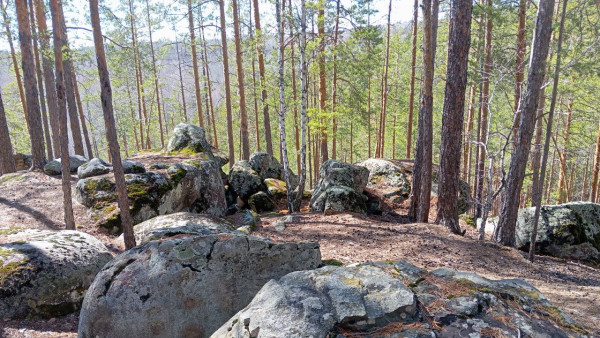 В лесах Самарской области до 15 октября объявлена боевая готовность
