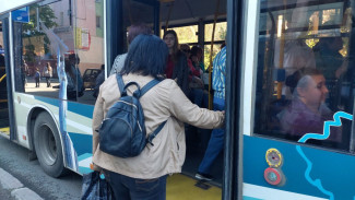 В Самаре ищут перевозчика на маршрут автобуса №480