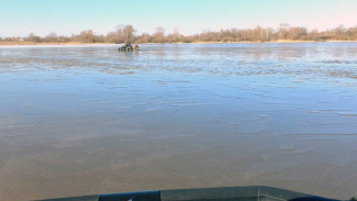 Под Самарой болотоход с пассажирами унесло в Волгу 