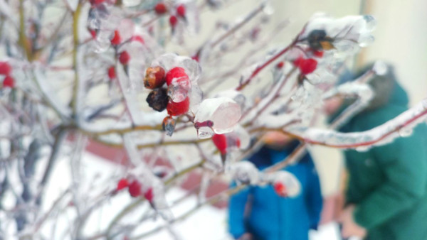 Православные 12 февраля отмечают «Трехсвятие»