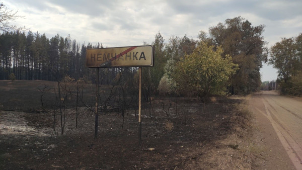 Площадь горения природного пожара в Самарской области сократили в 5 раз 