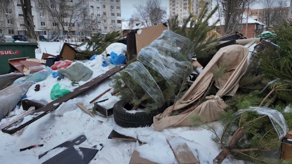 Самарцы начали массово избавляться от новогодних елок 