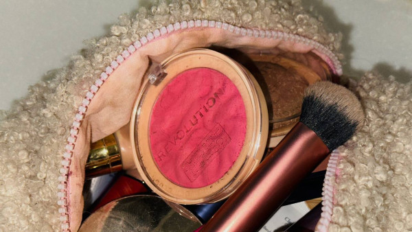 В Самаре французский бульдог едва не оставил визажиста без пальца и работы