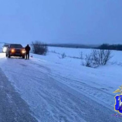 В Самарской области водитель кроссовера насмерть сбил косулю
