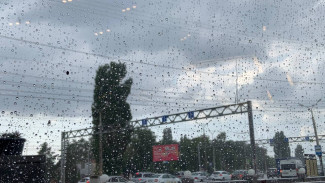 На Самарскую область движется снежный шторм и похолодание до -6 °C