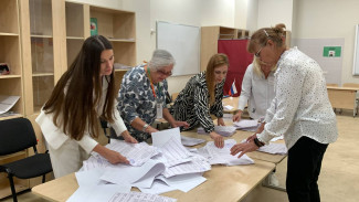 Нарушениями на выборах в Самарской области займутся правоохранительные органы 