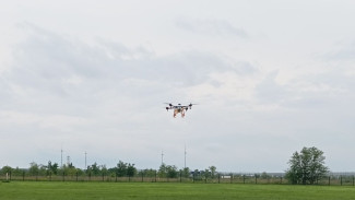 Самарская область получила 15 БПЛА для борьбы с лесными пожарами