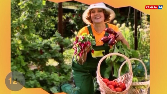 «Дачные советы»: посев семян