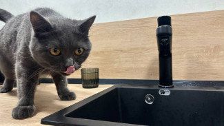 Самарцев предупредили о временных отключениях холодной воды