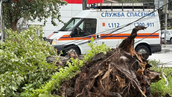 Из-за урагана в Тольятти ввели режим повышенной готовности 