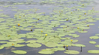 В Самаре обсудили будущее водных ресурсов области
