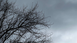 В Самаре студенты-добровольцы участвуют в учениях накануне Дня спасателя