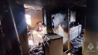 Под Самарой в пожаре погиб 10-летний мальчик