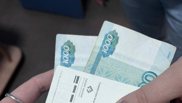 В Самаре иностранец пытался подкупить пограничника в аэропорту Курумоч