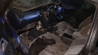 Три человека пострадали в перевернувшейся Toyota в Самарской области