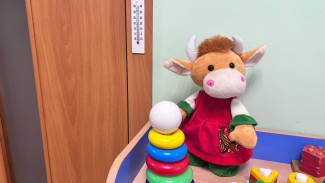 Глава СКР А. Бастрыкин потребовал доклад по делу о многодетной матери из Чапаевска