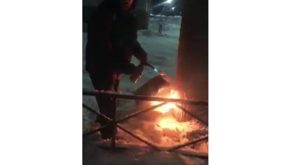 В Самарской области мужчина решил сжечь дерево из-за любви к телевидению 