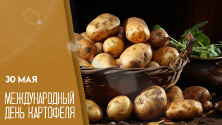 30 мая — День картошки: прикольные открытки для соцсетей и вкусные рецепты