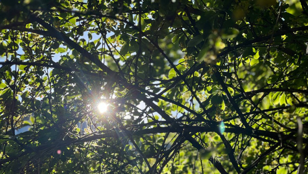 По Самаре ударит сильная магнитная буря