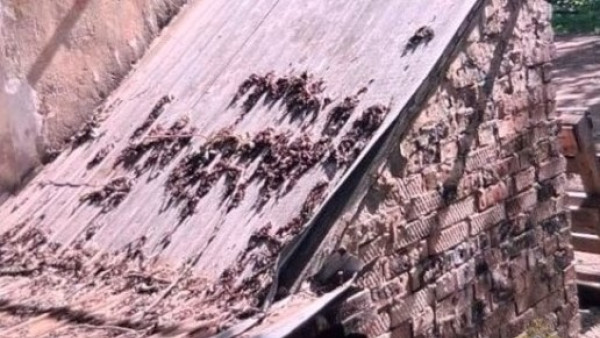 В Самаре следователи направили в суд дело студента колледжа - продавца наркотиков