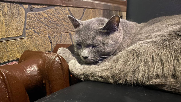 Самарцам рассказали, как вернуться к здоровому сну после новогодних праздников