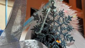 Гороскоп на 29 января: Жителям Самарской области звезды сулят отличный день 