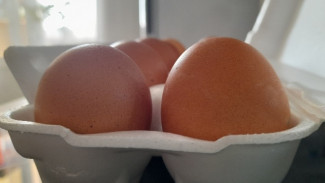 В Самаре участились случаи подмены куриных яиц в магазинах 